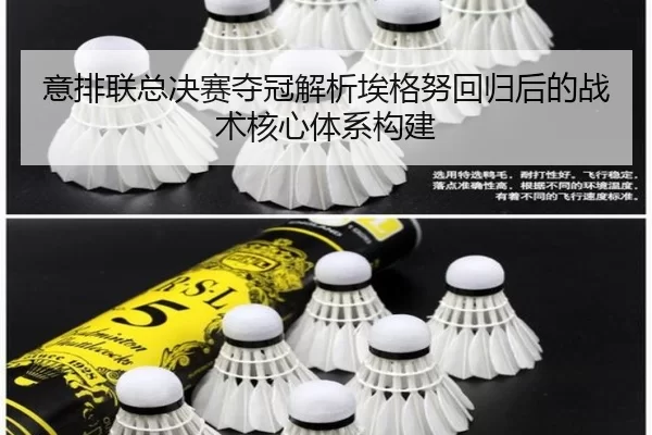 意排联总决赛夺冠解析埃格努回归后的战术核心体系构建